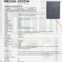 300 DW